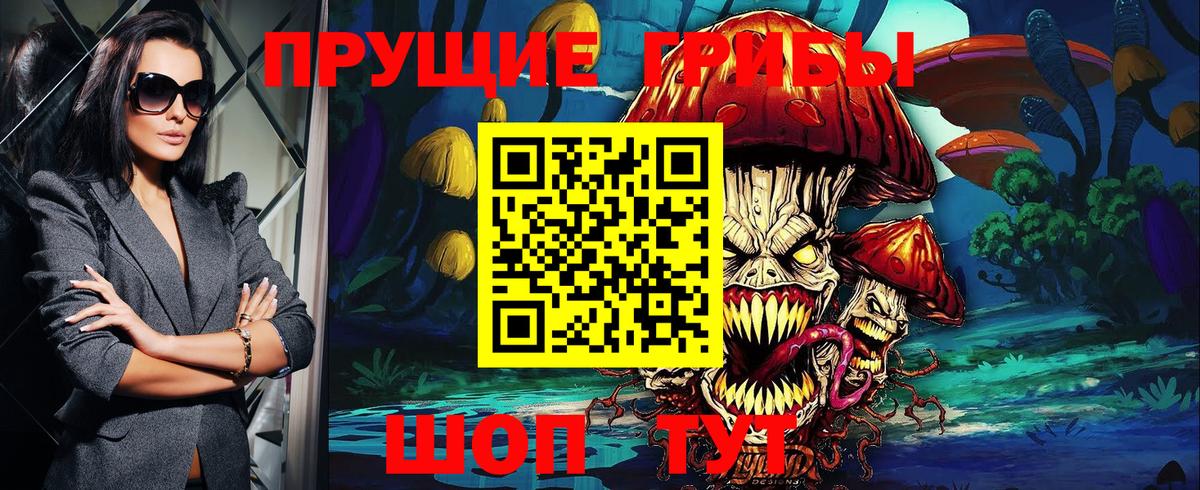 Фрязино  Галлюциногенные грибы Psilocybine cubensis  Вход с VPN 